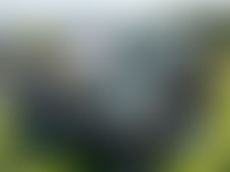 Werden PV-Anlagen bald Pflicht? Die aktuelle Rechtslage zur Solarpflicht 2026