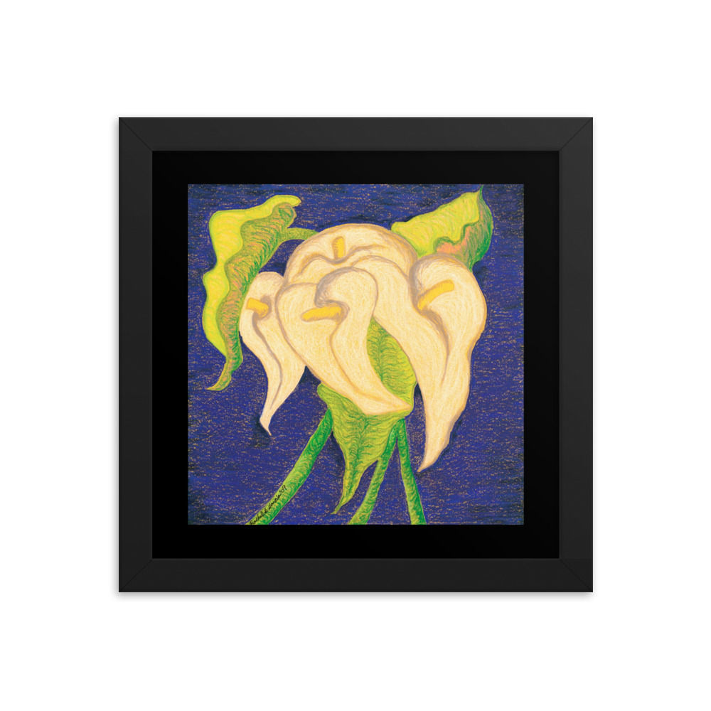 Framed poster - Calla Lilies