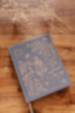 Agenda lunaire bleu lune