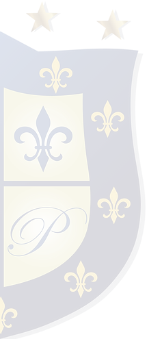 logo media 2-01.png