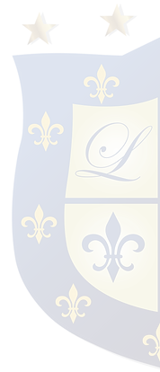 logo media 1-01.png