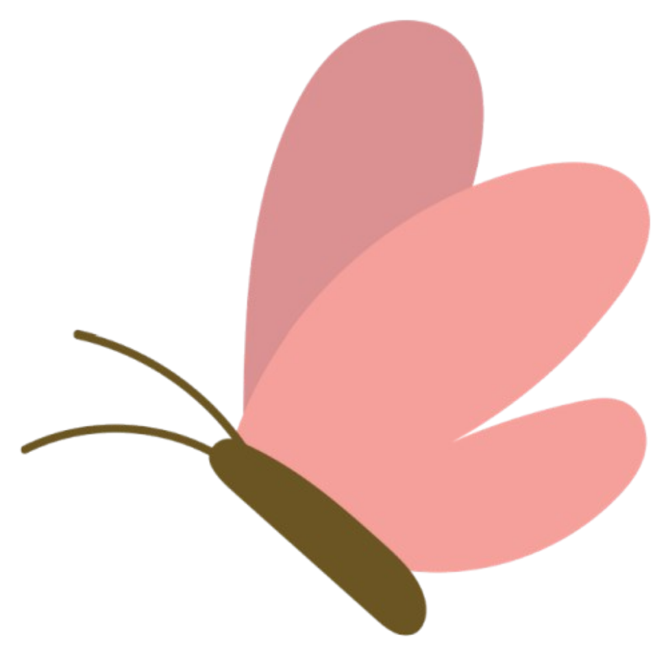 Pink Poppy Flowers
