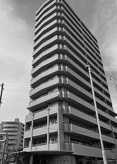 IMG_6903_edited_edited.jpg