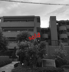 IMG_1826_edited_edited.jpg