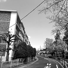 IMG_3773_edited.jpg