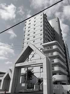 IMG_6798_edited.jpg