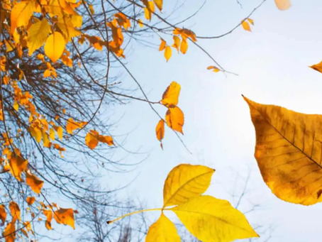 weather chat 09-10-2025