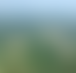 Creation groans 07-16-2025