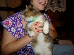 What a Lucky Cat!!