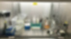cell culture hood.jpg