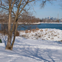 Winter Landscape in Etobicoke