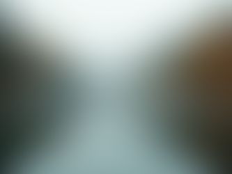 Enhancing Your Photos with Reflections