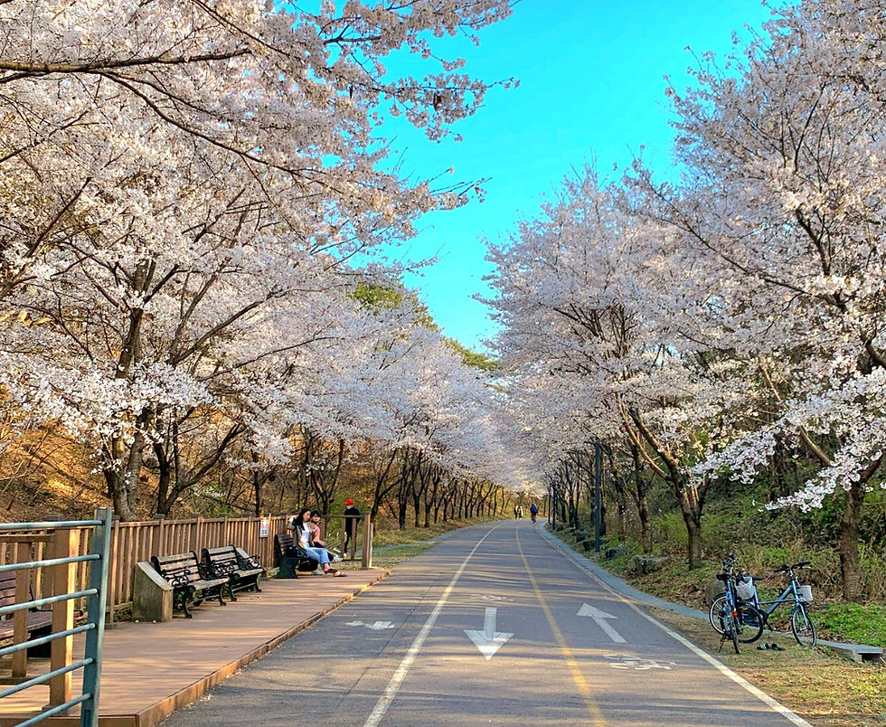 Namhangang River Bicycle Path