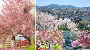 Jeonju Hanok Village, Wansan Park & Gakwonsa Temple Day Tour