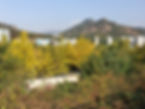 11. Path to Ansan Jarak-gil Trail - View