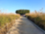 Haneul Park - Observation Deck