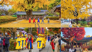 Jeonju Hanok Village: Traditional Hanbok & Local Foodie Day Tour