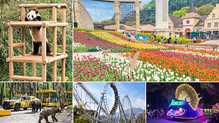 Everland 1 Day Pass (instant QR Code for entry upon booking)