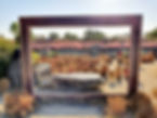 Haneul Park - Photo Zone