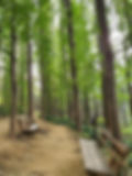Ansan Mountain - Metasequoia Forest & Trail - Rest Area