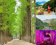 Nami Island, Petite France, Italian Village & Gangchon Rail Bike Day Tour