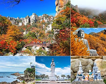 Seoraksan National Park & Naksansa Temple Day Tour