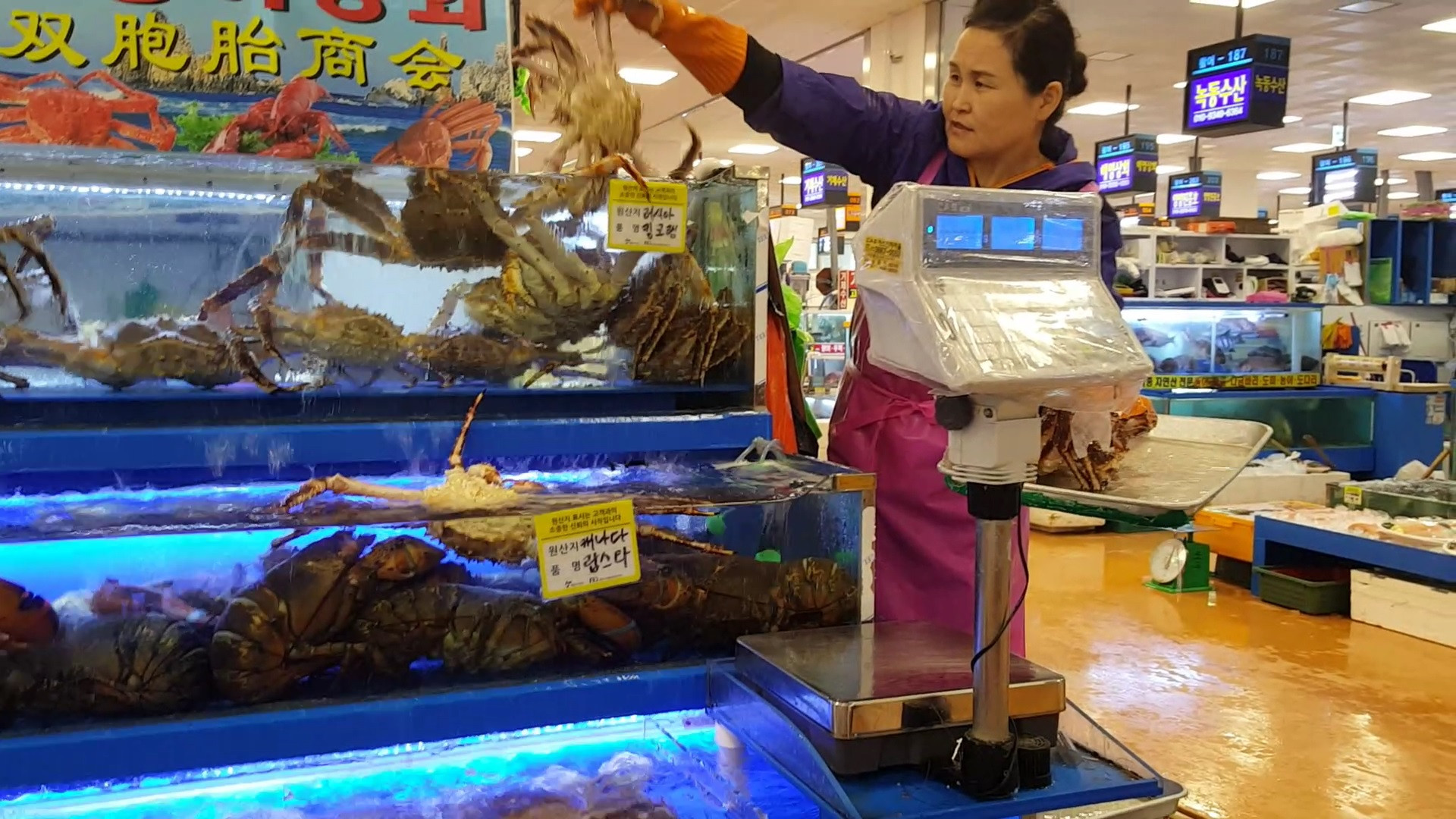 Noryangjin Fisheries Wholesale Market & getting there | KoreaToDo