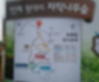Wondaeri Birch Forest - Hiking Courses