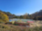 Gyeongju - Seokguram Grotto - View