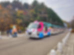 Seoul Grand Park - Elephant Tram in Autumn