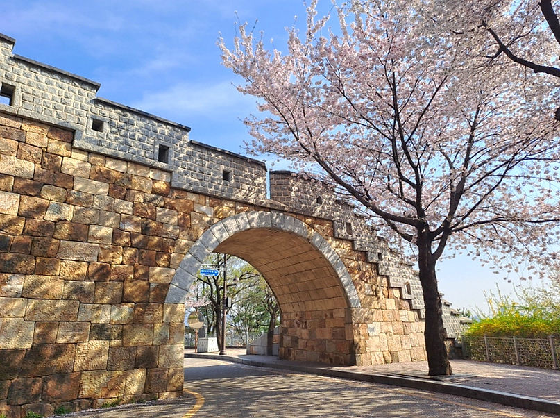Top Places for Cherry Blossoms & Spring Flowers from Seoul - Suwon Hwaseong Fortress