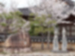 Gyeongju - Gyochon Hanok Village