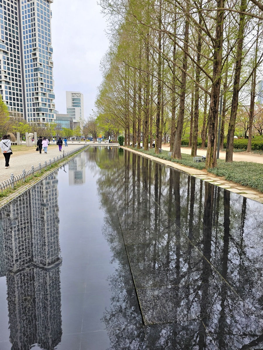 Mirror Lake