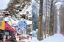 Nami Island, Petite France, Italian Village & Gangchon Rail Bike Day Tour