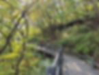 Ansan Jarak-gil Trail - Gentle Slopes