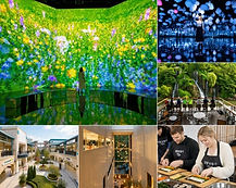 Museum Hei, Paju Premium Outlets, Gimbap Making & Scenic Cafe Day Tour