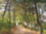 6. Path to Ansan Jarak-gil Trail
