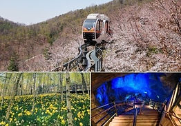 Hwadam Botanic Garden & Gwangmyeong Cave Tour