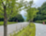 Seoul Grand Park - Towards Bridge