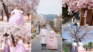 Jeonju Hanok Village & Hanbok Experience Day Tour