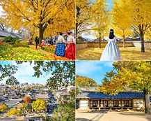 Jeonju Hanok Village & Hanbok Experience Day Tour