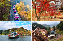 Nami Island, Petite France, Italian Village & Gangchon Rail Bike Day Tour
