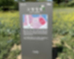 Seoul Grand Park - Theme Garden - Fruit Garden
