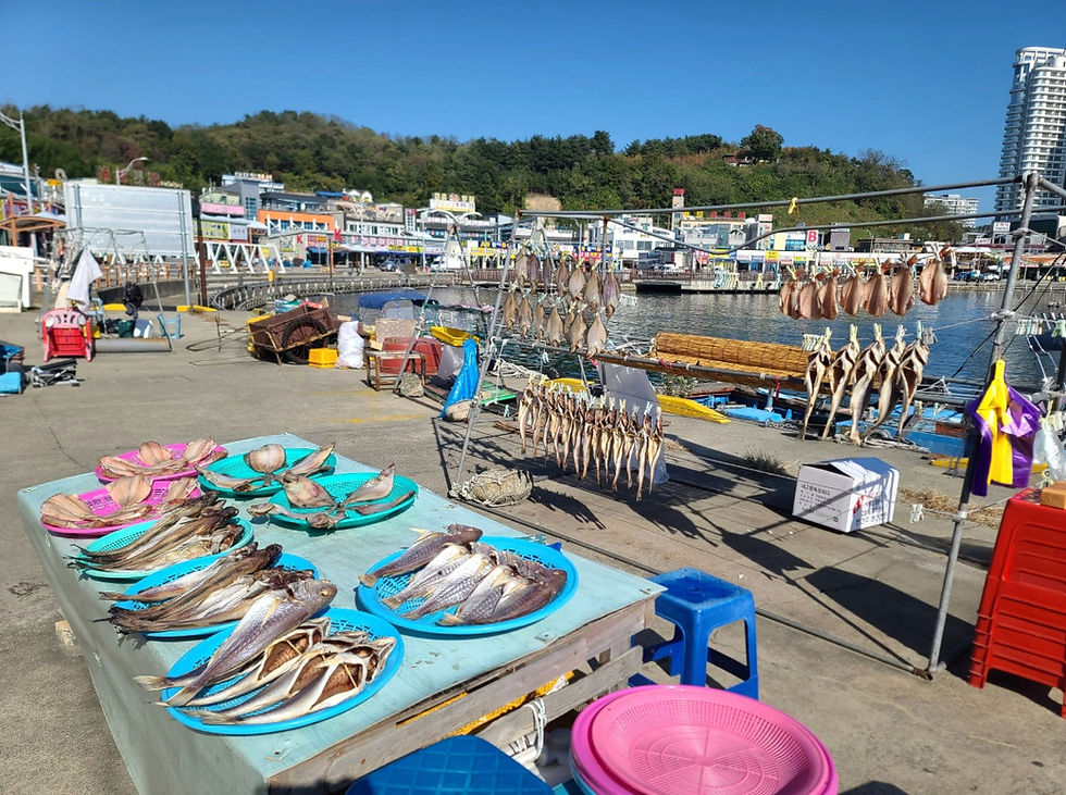 Sokcho - Daepo Port