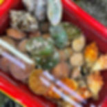 Gwangalli Beach - Millak Raw Fish Center