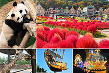 Everland 1 Day Pass (instant QR Code for entry upon booking)