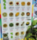 Sejong Village Food Street - Chebudong Janchijip - Menu