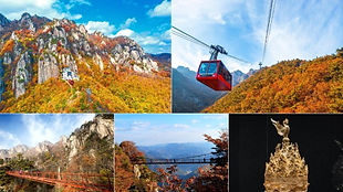 Daedunsan Provincial Park & Buyeo National Museum Autumn Day Tour