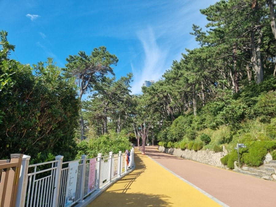 Dongbaekseom Island - Circular Trail