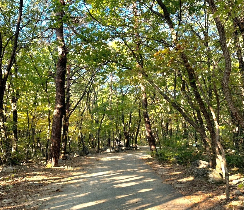 Seoraksan National Park - Biseondae Rock Course - Biseondae Barrier-Free Trail